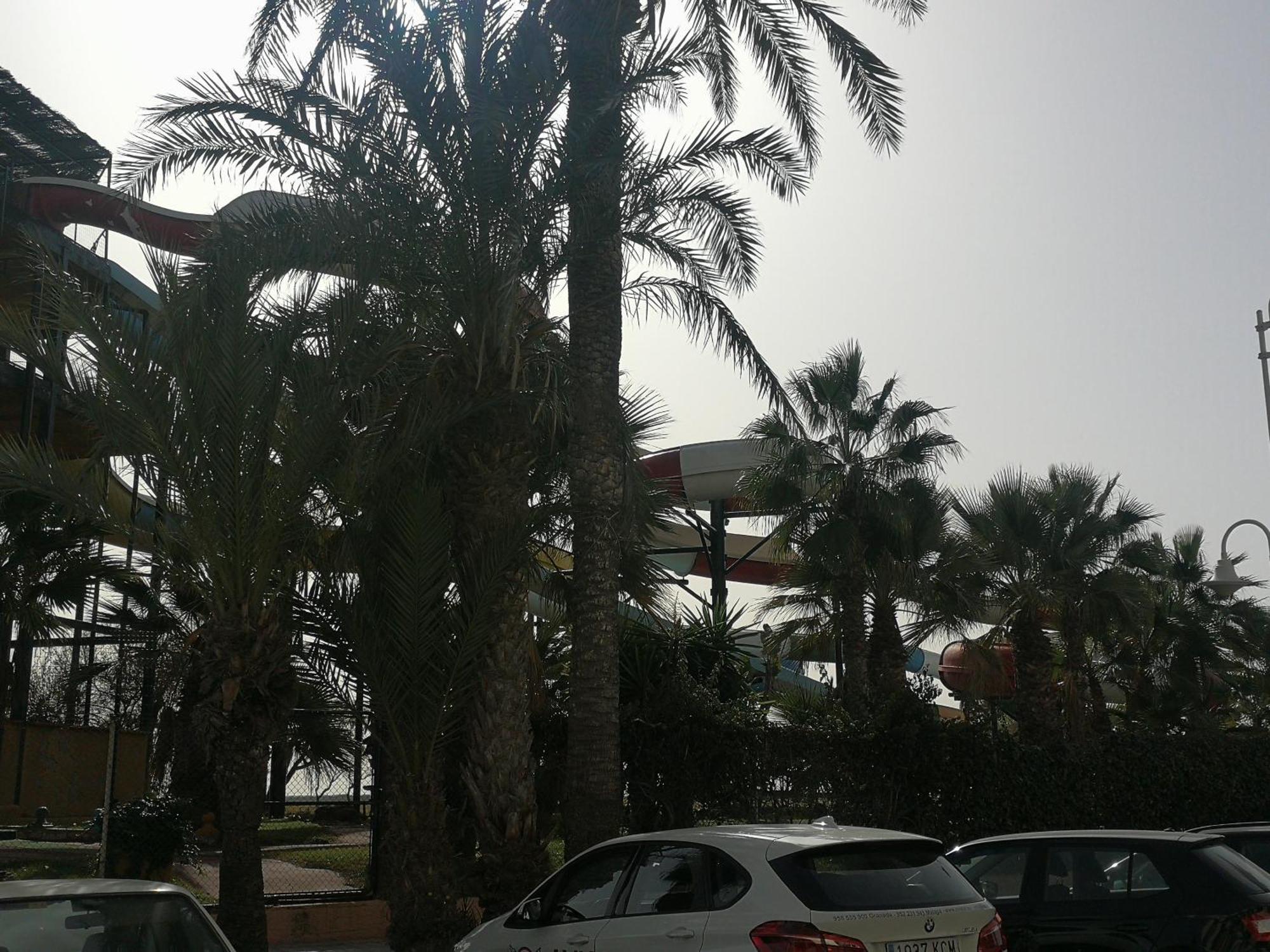 Apartamento Playa Velilla Park II Almuñécar Eksteriør billede
